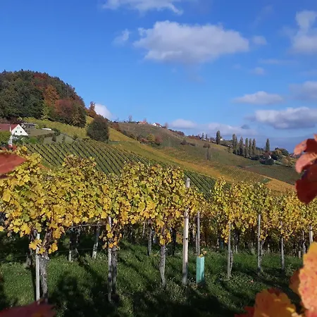 Poolvilla Ratsch Feriehus Ehrenhausen