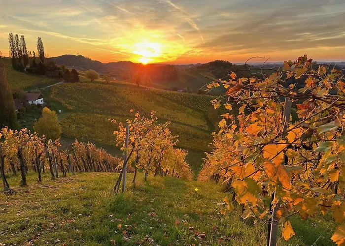 度假居 Poolvilla Ratsch *