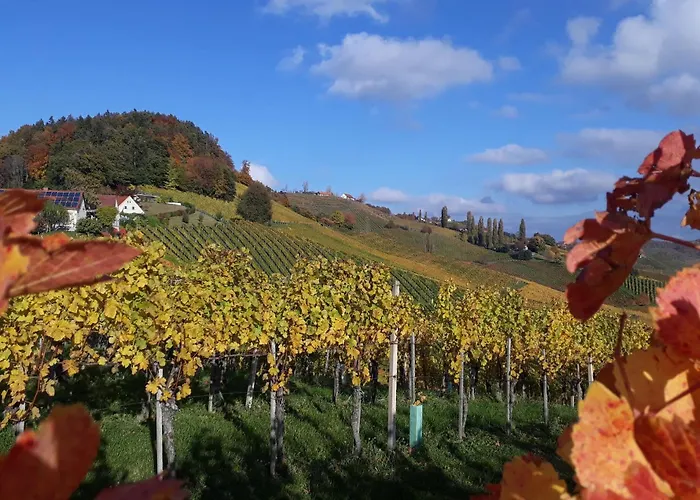 Poolvilla Ratsch 度假居 埃伦豪森