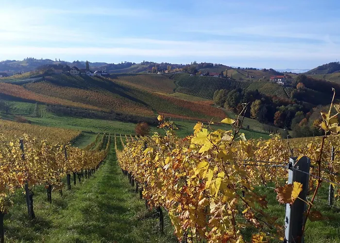 度假居 Poolvilla Ratsch